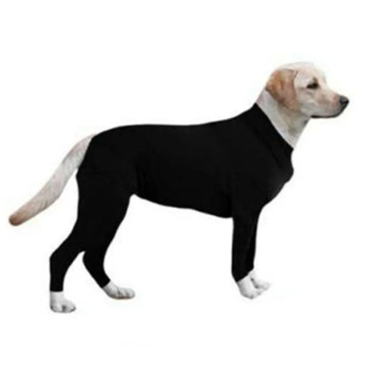 Solid Polyester Dog Accessory | Durable All-Weather Comfort