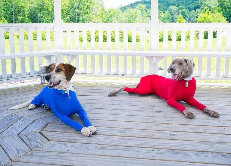 Solid Polyester Dog Accessory | Durable All-Weather Comfort