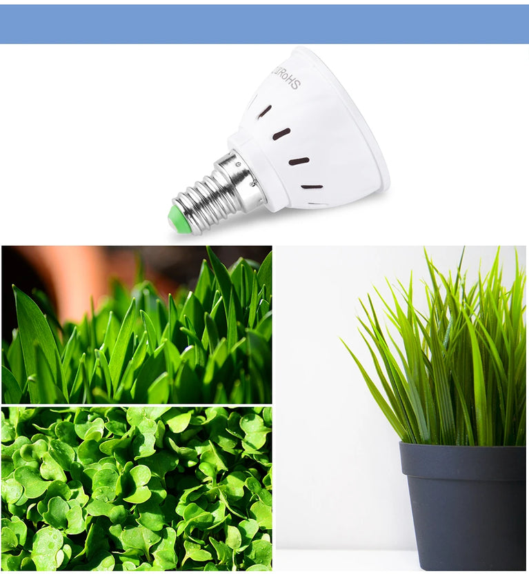 Full Spectrum LED Grow Light Bulb | SMD 2835 Phytolamp for Indoor Cultivation