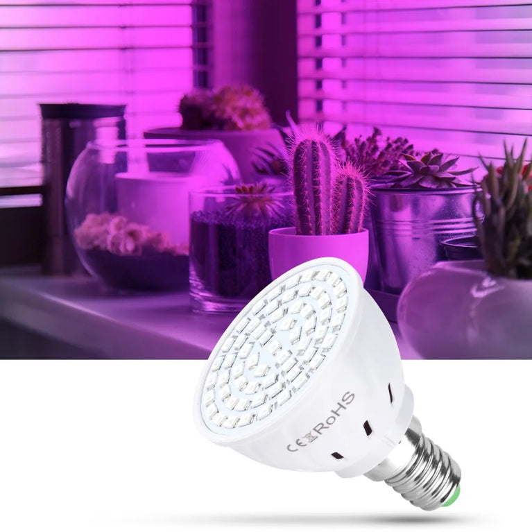 Full Spectrum LED Grow Light Bulb | SMD 2835 Phytolamp for Indoor Cultivation