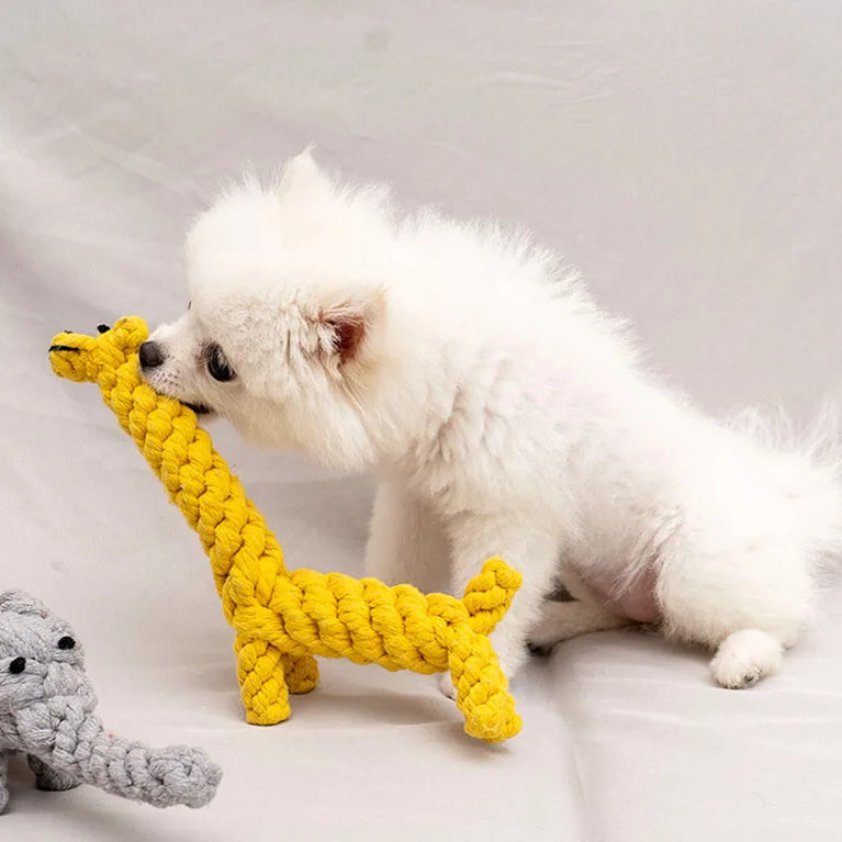 1pcs Bite Resistant Pet Dog Chew Toys Rope Knot Ball Dogs Toys Pets