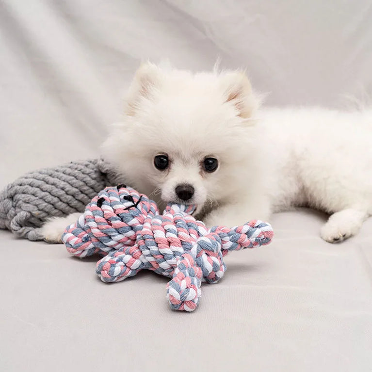 1pcs Bite Resistant Pet Dog Chew Toys Rope Knot Ball Dogs Toys Pets