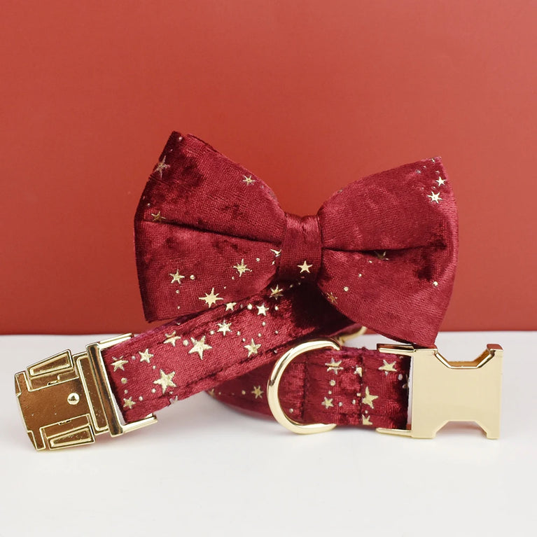 Luxury Fashion Dog Collar Leashes Harness Bow Set