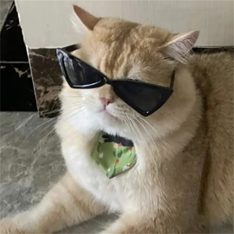 Sphynx Sunglasses | Windproof Pet Fashion Goggles