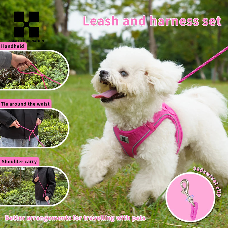 Adjustable Reflective Dog Harness Leash Set Step-In Soft Air Mesh Vest