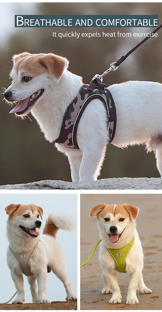 Adjustable Reflective Dog Harness Leash Set Step-In Soft Air Mesh Vest