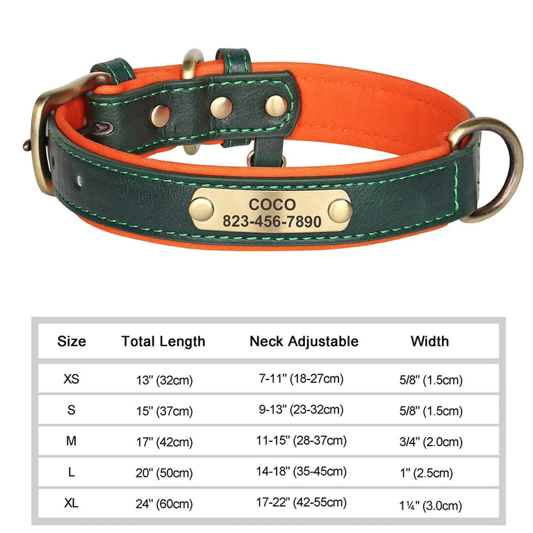 Personalized Leather Dog Collar | Padded ID Nameplate Collar