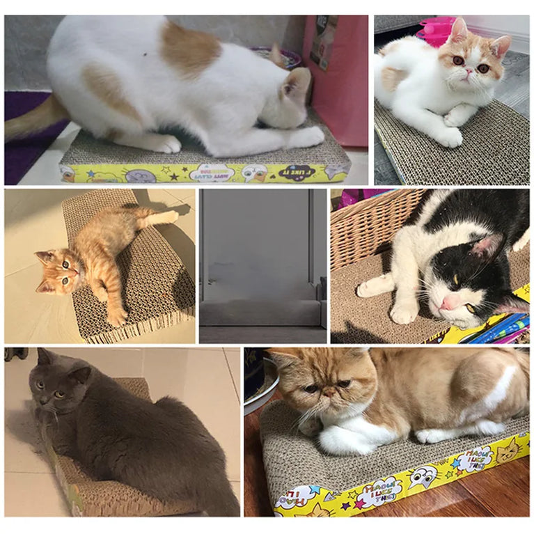 Cat Toys Cat Scraper Sharpening Claw Corrugated Cardboard Scratch Board Sofa Protector