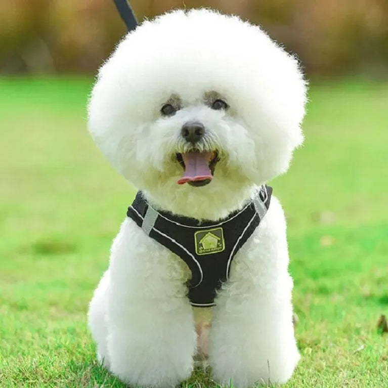 Reflective Breathable Mesh Puppy Dog Harness And Leash Set No Pull Vest