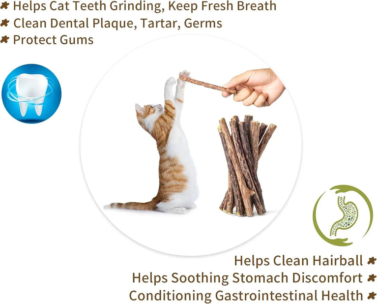 Natural Silvervine Sticks Catnip Chew Teeth Cleaning Dental Molar Cat Toy Set