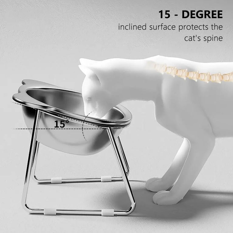 Raised Cat Bowls Tilted Neck Guard 304 Stainless Steel Elevated 15 Degree Anti Slip Pet Feeding Set