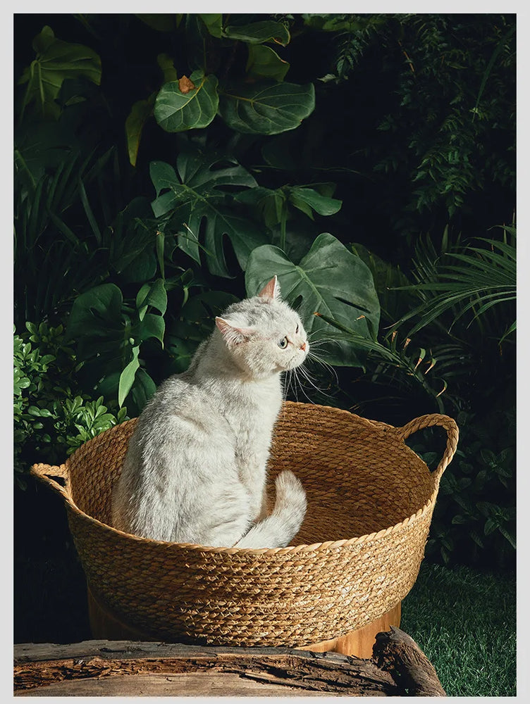 Cat Bed Basket Cooling & Heating Self Warm Cozy Nest