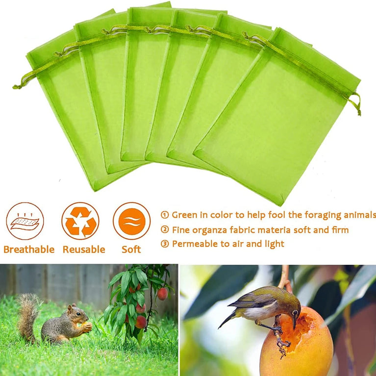 Fruit Protection Netting Bags | Reusable Organza Mesh for Pest & Bird Control