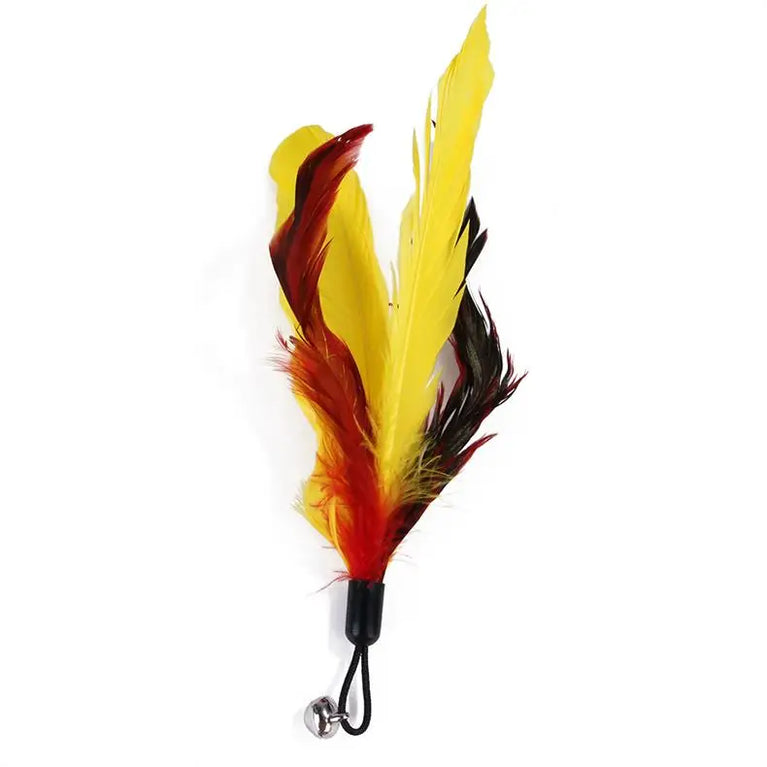 11pcs Replacement Cat Feather Toy Set Retractable Stick Kit Toy