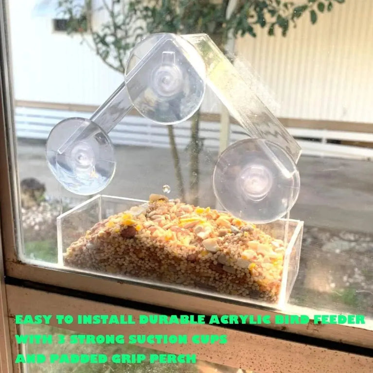 Clear Acrylic Window Bird Feeder | Transparent Wall-Mounted Wildlife Station