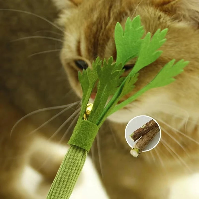 Cat Chew Toys Catnip Teeth Cleaning Interactive Self Playing Molar Stick Cat Toy