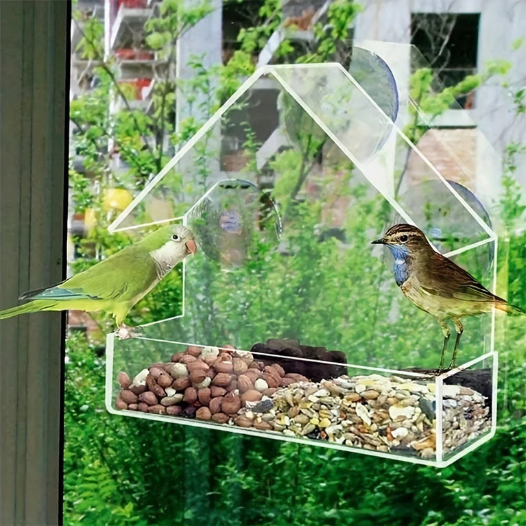 Clear Acrylic Window Bird Feeder | Transparent Wall-Mounted Wildlife Station