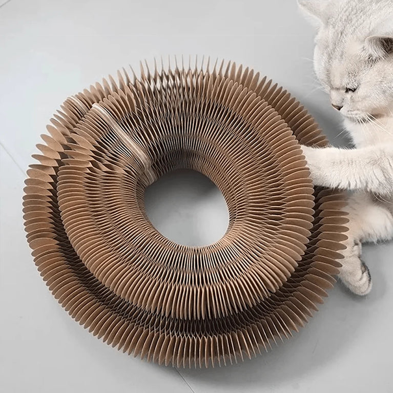 Foldable Cat Scratcher with Bell & Catnip Multi Level Toy Kit