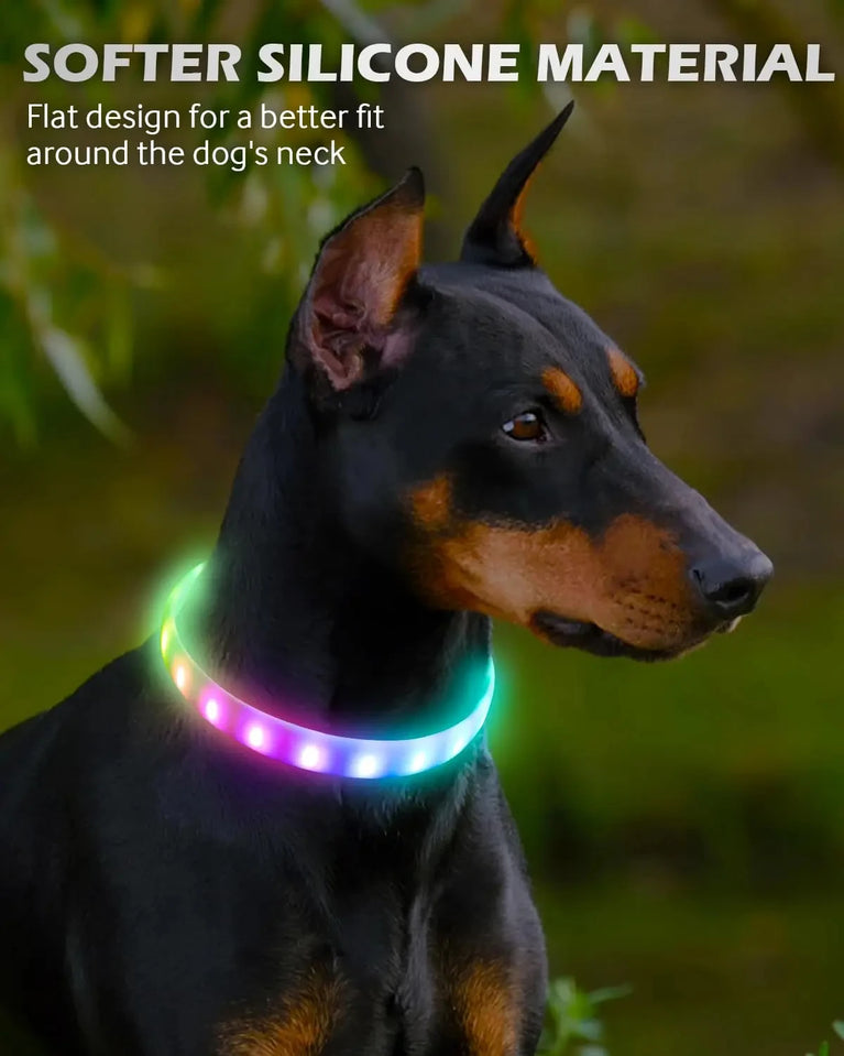 USB Rechargeable LED Glowing Dog Collar 9 Flashing Modes Adjustable
