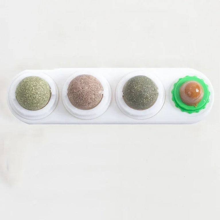 4 in 1 Rotating Catnip Silver Vine Ball Wall Stick Toy Kit