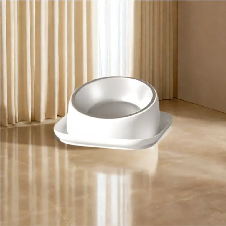 15° Tilted Raised Cat Feeder with Stainless Bowl Anti Slip Base