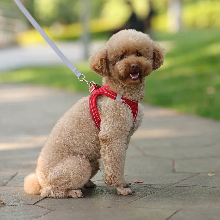 Puppy Dog Harness Set Reflective Adjustable Small Pet Vest With Leash