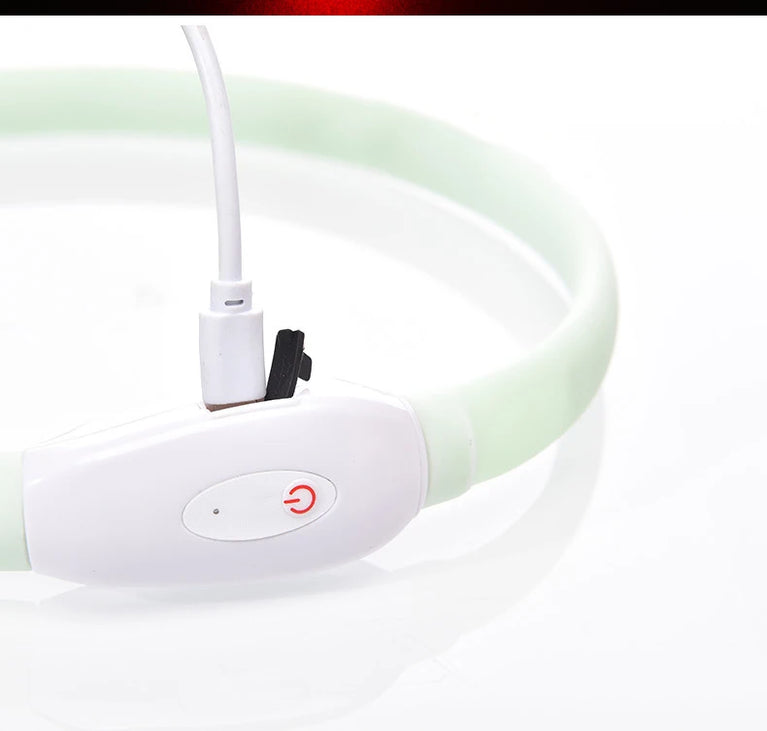 USB Rechargeable LED Glowing Dog Collar 9 Flashing Modes Adjustable