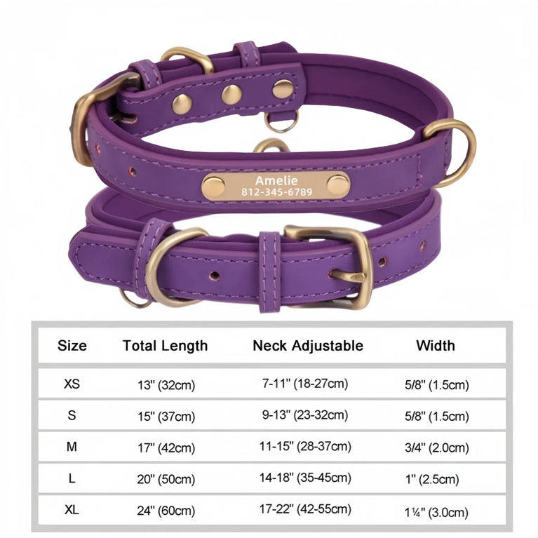 Personalized Leather Dog Collar | Padded ID Nameplate Collar