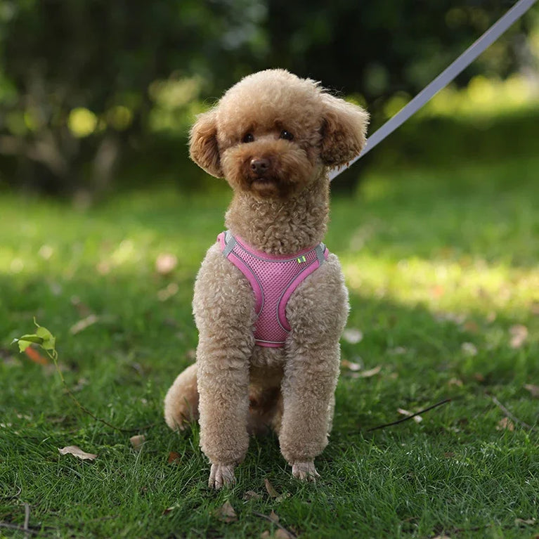 Puppy Dog Harness Set Reflective Adjustable Small Pet Vest With Leash