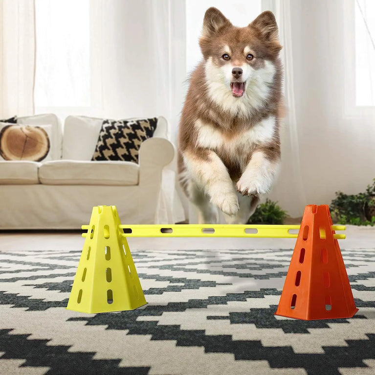Dog Agility Training Set | Adjustable Hurdle & Jumping Bar