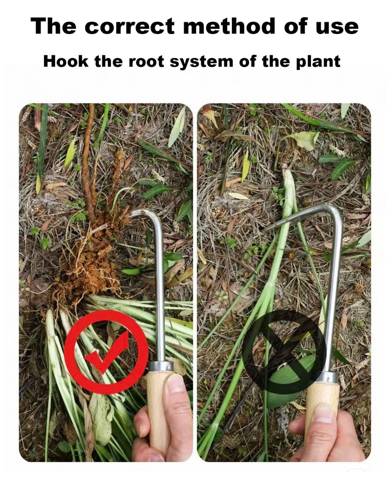 Stainless Steel Weeding Hook Garden Tool for Root Removal and Soil Work