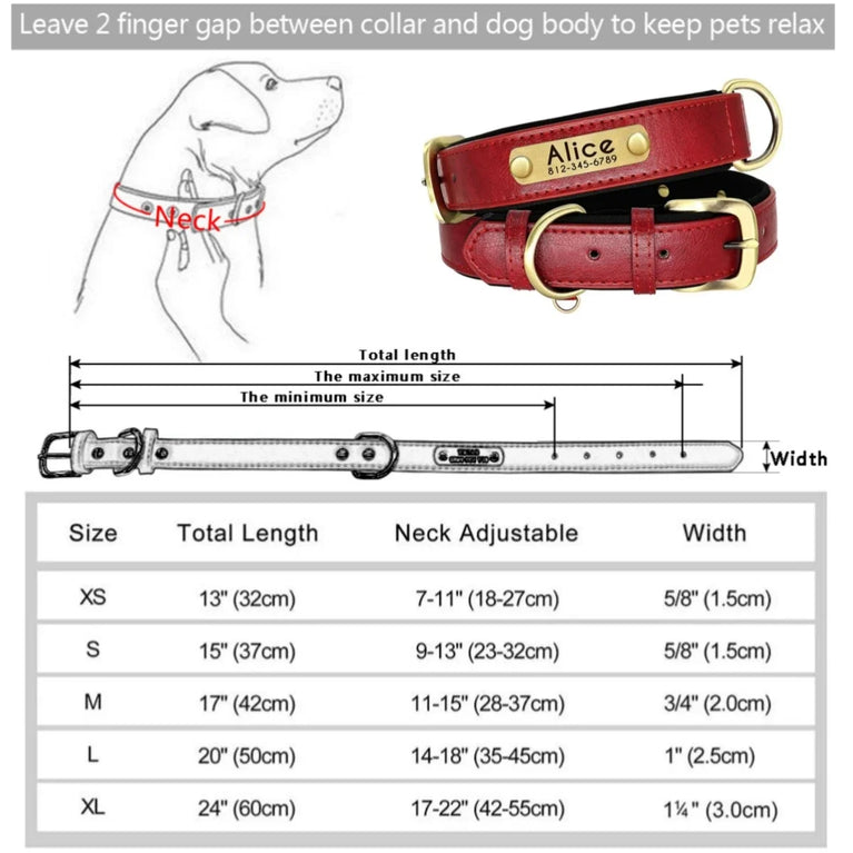 Personalized Leather Dog Collar | Padded ID Nameplate Collar