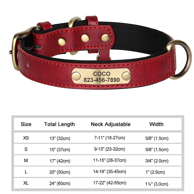Personalized Leather Dog Collar | Padded ID Nameplate Collar