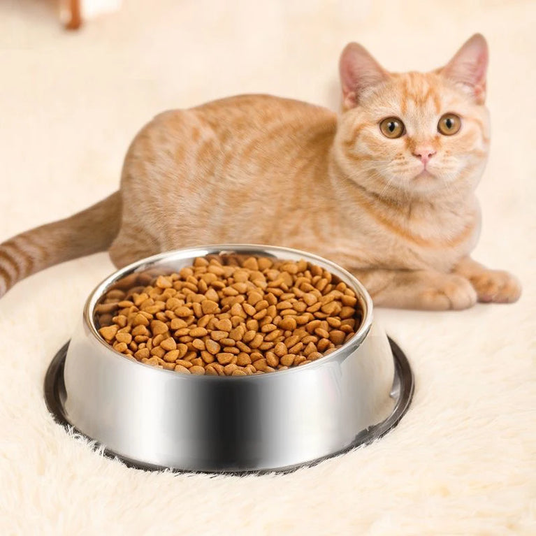 Anti-Slip Stainless Steel Dog Bowl | Anti-Tip & Anti-Ant Feeder