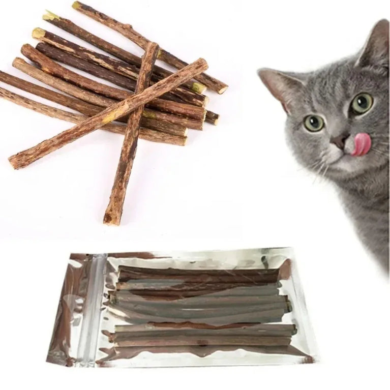 Natural Silvervine Sticks Catnip Chew Teeth Cleaning Dental Molar Cat Toy Set