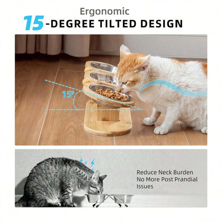 15° Tilted Raised Cat Bowl Set with 3 Stainless Steel Bowls Feeder