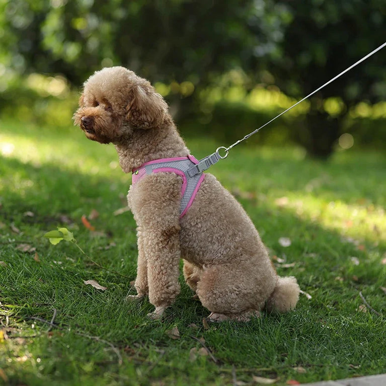 Puppy Dog Harness Set Reflective Adjustable Small Pet Vest With Leash
