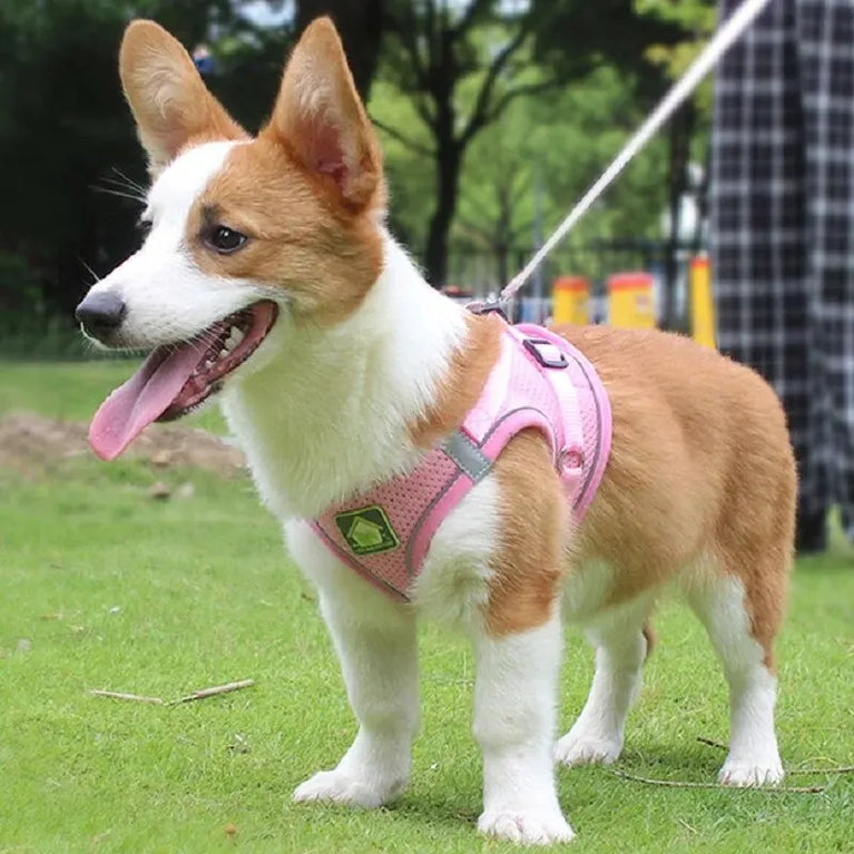Reflective Breathable Mesh Puppy Dog Harness And Leash Set No Pull Vest