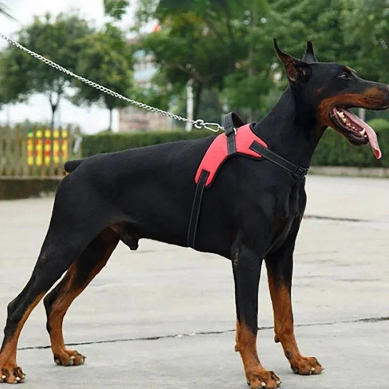 Adjustable Oxford Dog Harness Vest Collar Durable Pet Walking Harness