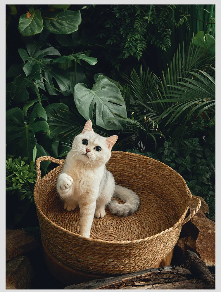 Cat Bed Basket Cooling & Heating Self Warm Cozy Nest