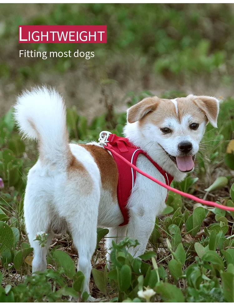 Adjustable Reflective Dog Harness Leash Set Step-In Soft Air Mesh Vest