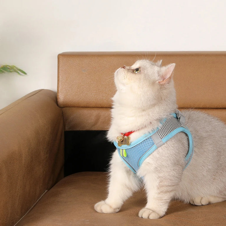 Dog Harness Leash Set Small Dogs Chihuahua Frenchie No Pull Vest