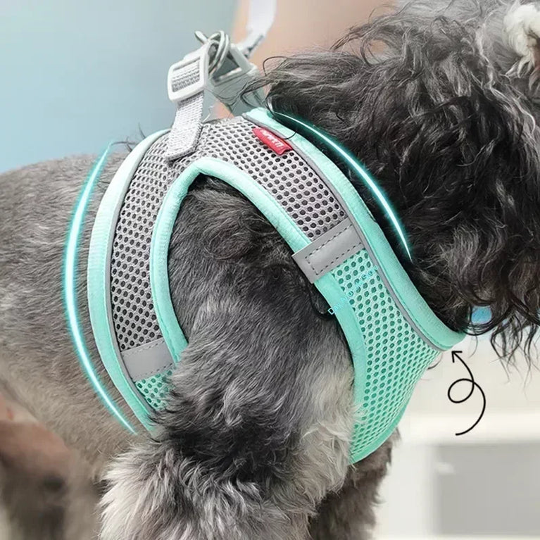 Dog Harness Leash Set Small Dogs Chihuahua Frenchie No Pull Vest