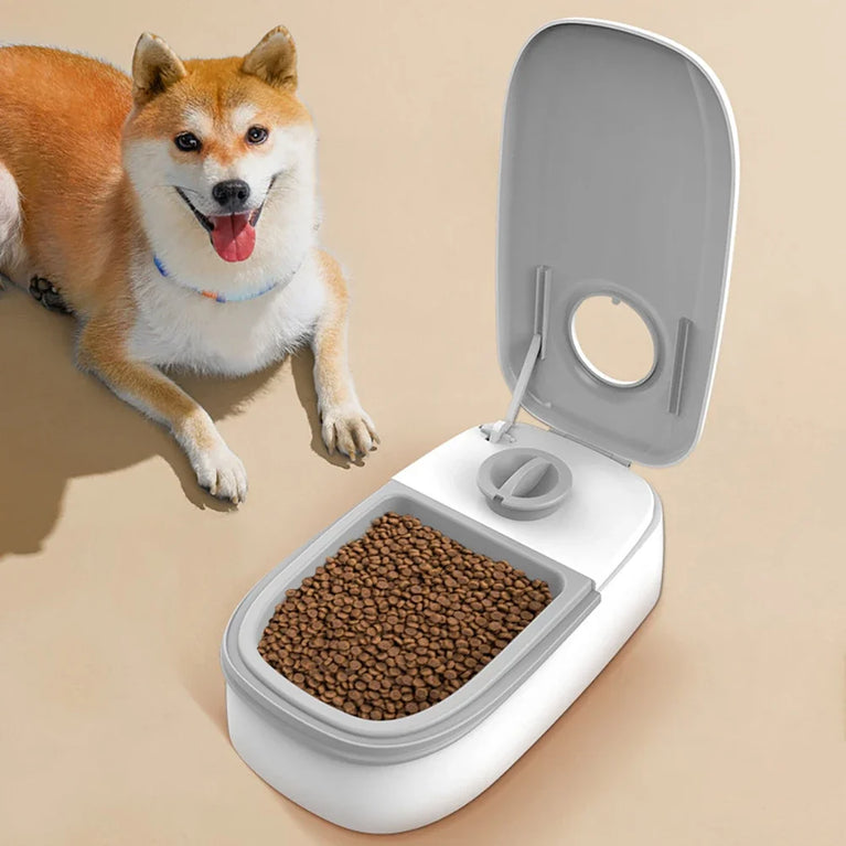 Automatic Timed Pet Feeder | Wet & Dry Food Dispenser