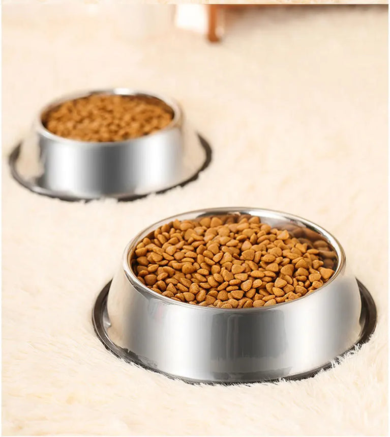 Anti-Slip Stainless Steel Dog Bowl | Anti-Tip & Anti-Ant Feeder