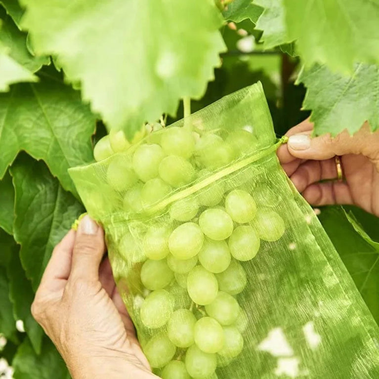 Fruit Protection Netting Bags | Reusable Organza Mesh for Pest & Bird Control