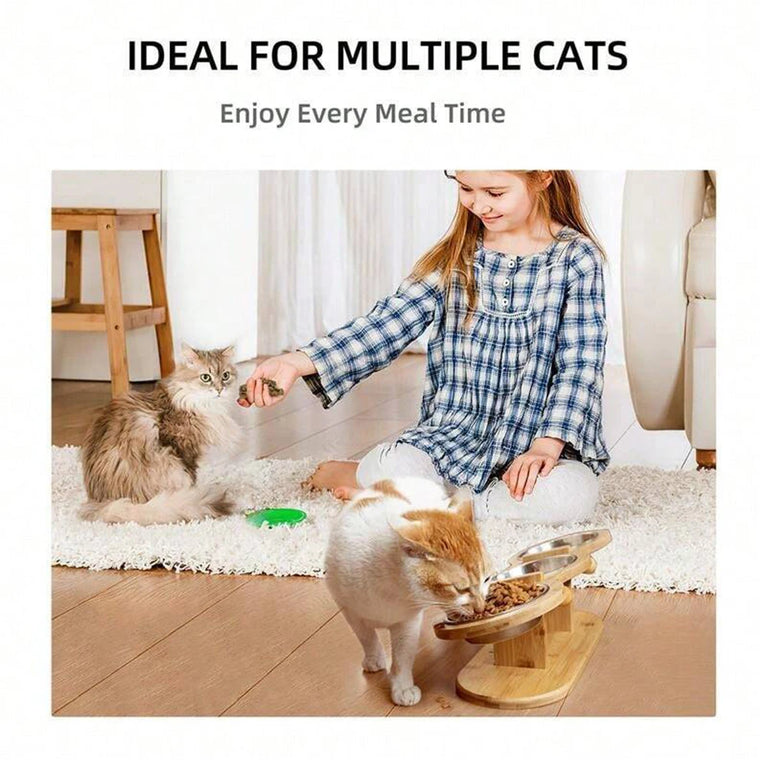 15° Tilted Raised Cat Bowl Set with 3 Stainless Steel Bowls Feeder