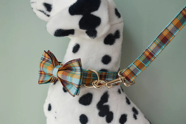 High Quality Personalized Dog Collar Leash Set Quick Release XS XL