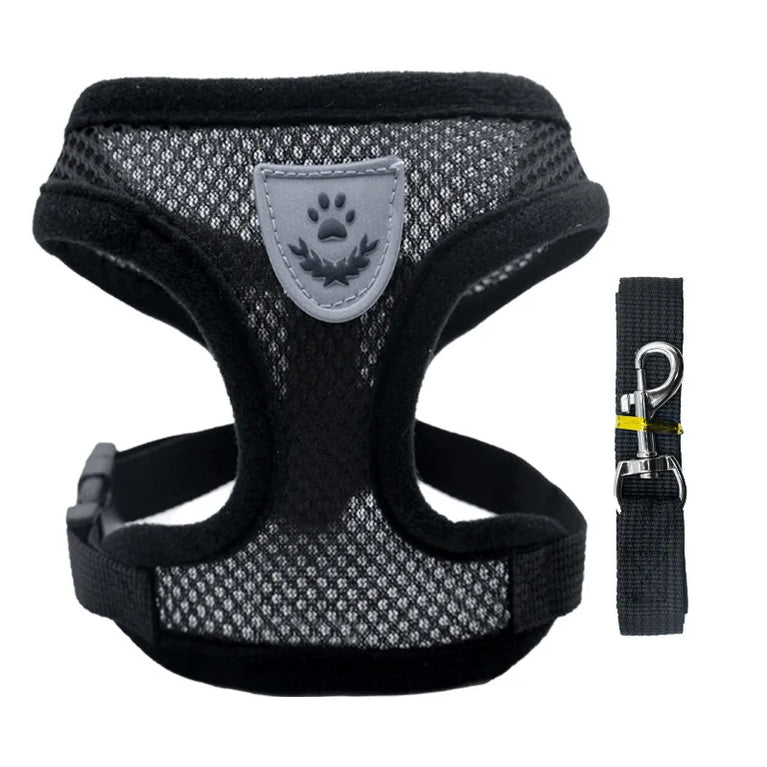 Breathable Mesh Cat Small Dog Harness And Leash Kitten Puppy Adjustable Vest Set