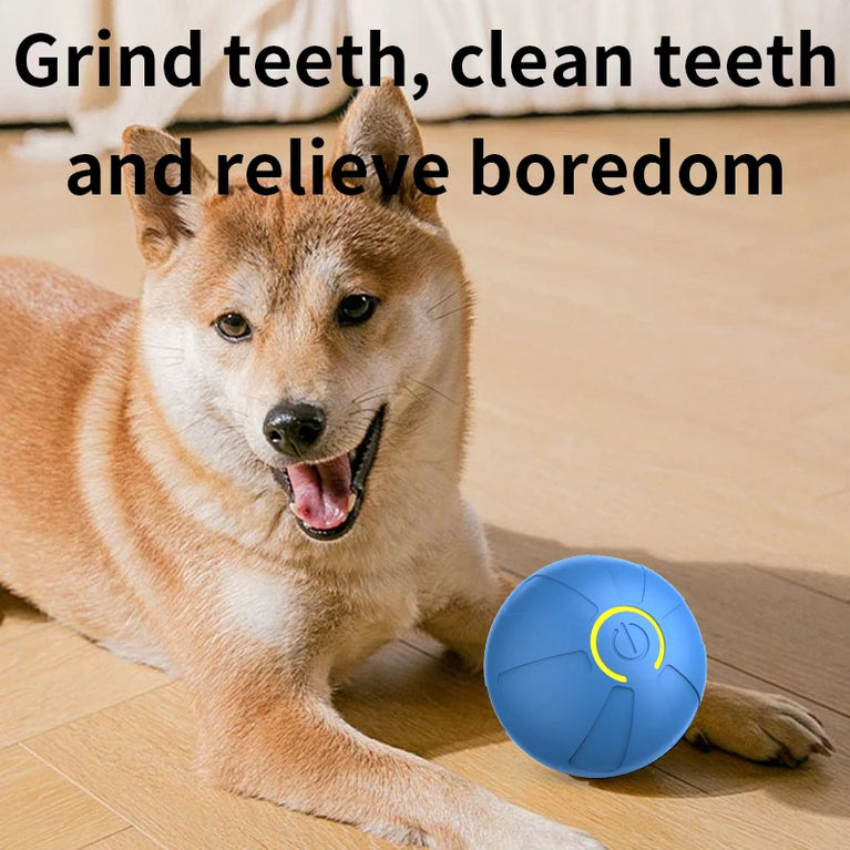 Smart Interactive Dog Toy Ball | Automatic Bouncing Rolling Toy